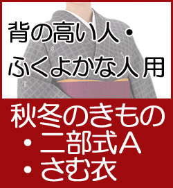 背の高い人用ふくよかな人用　秋冬のきもの二部式